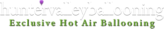 Balloon Aloft Logo